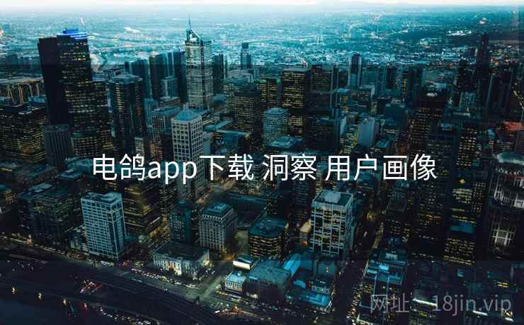 电鸽app下载 洞察 用户画像 电鸽app下载 洞察 用户画像