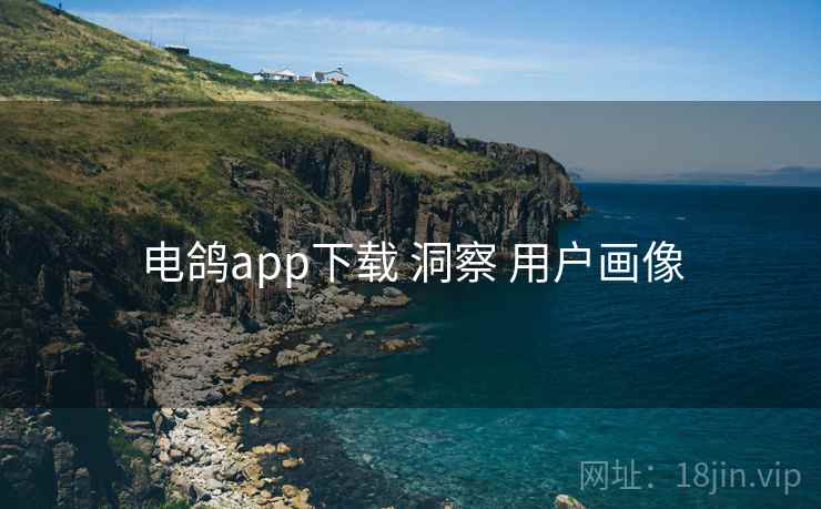 电鸽app下载 洞察 用户画像 电鸽app下载 洞察 用户画像