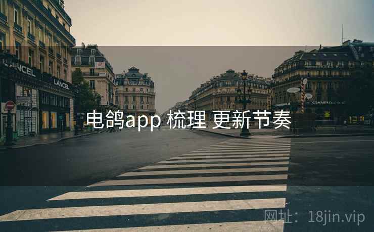 电鸽app 梳理 更新节奏 电鸽app 梳理 更新节奏