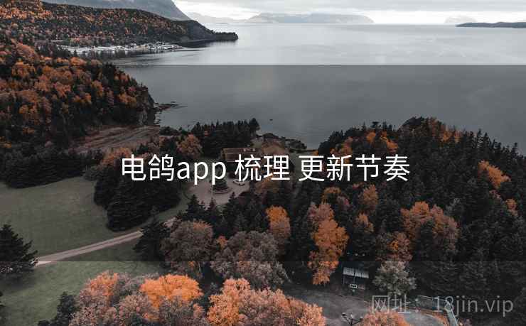 电鸽app 梳理 更新节奏 电鸽app 梳理 更新节奏