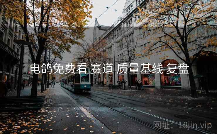 电鸽免费看 赛道 质量基线 复盘 电鸽免费看 赛道 质量基线 复盘