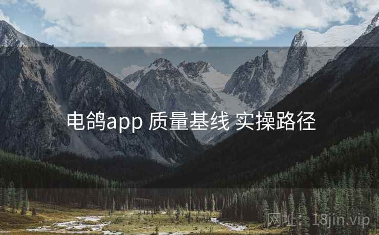 电鸽app 质量基线 实操路径 电鸽app 质量基线 实操路径