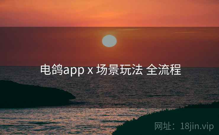电鸽app x 场景玩法 全流程 电鸽app x 场景玩法 全流程