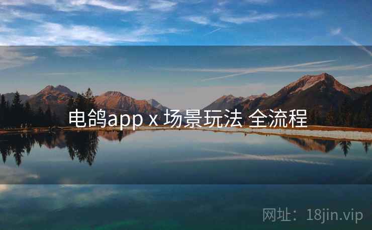 电鸽app x 场景玩法 全流程 电鸽app x 场景玩法 全流程
