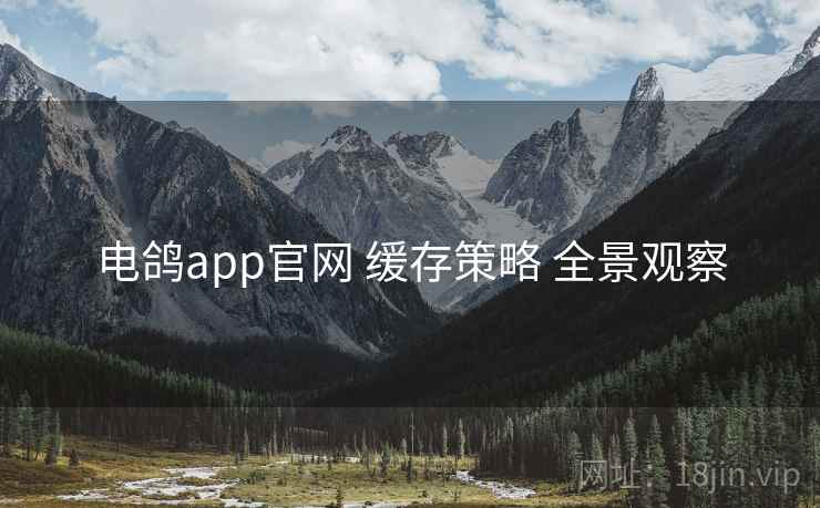电鸽app官网 缓存策略 全景观察 电鸽app官网 缓存策略 全景观察